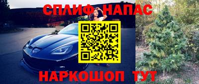 ГАЛЛЮЦИНОГЕННЫЕ ГРИБЫ Обь