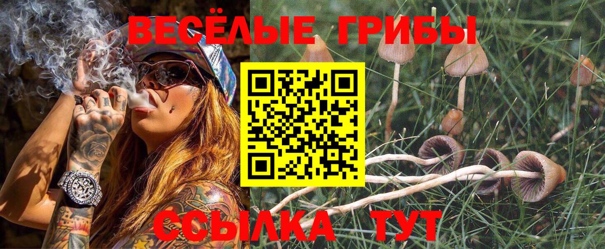 Ржев  Псилоцибиновые грибы мицелий  Вход с VPN  Галлюциногенные грибы Cubensis 